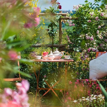 Villa Le Rose Di Montagnana à San Gimignano Extérieur photo