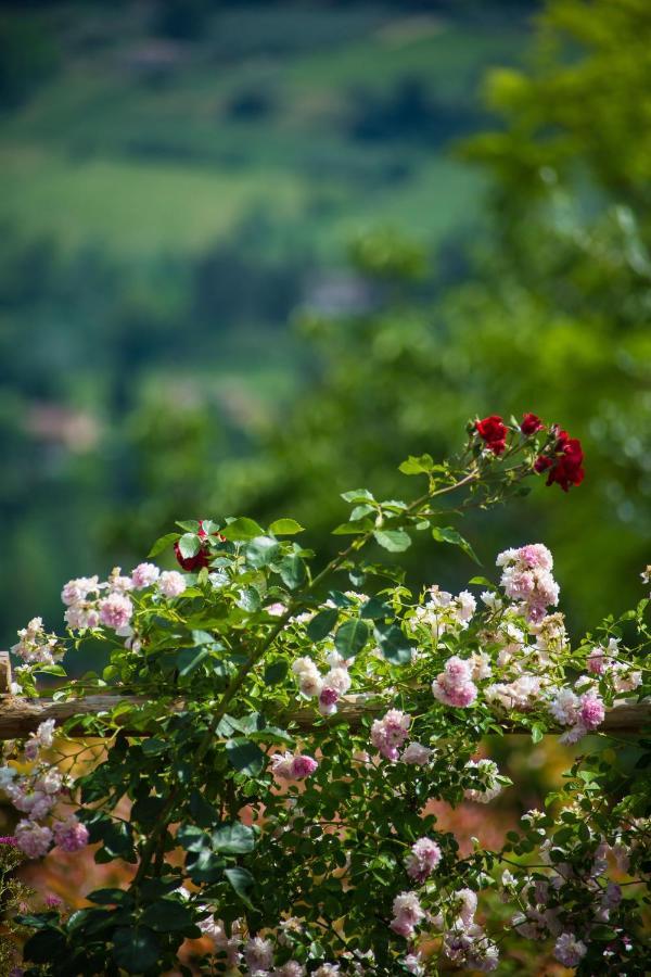 Villa Le Rose Di Montagnana à San Gimignano Extérieur photo